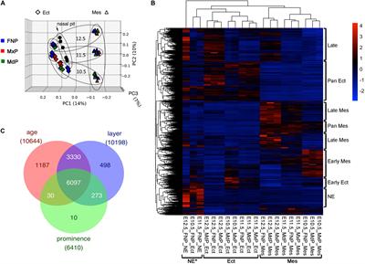 An Alternative Splicing Program for Mouse Craniofacial Development